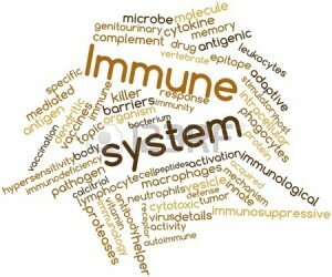 sistema immunitario 1
